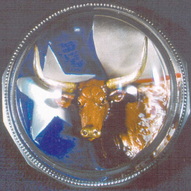 Limited Editon Texas Longhorn Paperweight